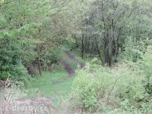 Dražba pozemku, Medonosy, 15430 m2