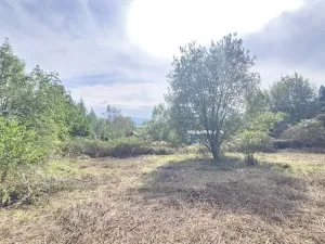 Prodej pozemku pro bydlení, Krupka, Angreštový sad, 873 m2
