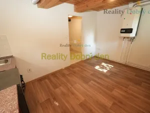 Pronájem bytu 1+1, Opava, Bochenkova, 55 m2