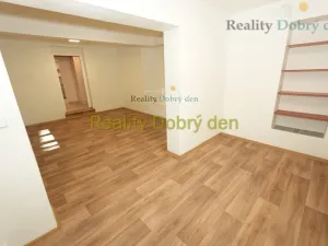 Pronájem bytu 1+1, Opava, Bochenkova, 55 m2