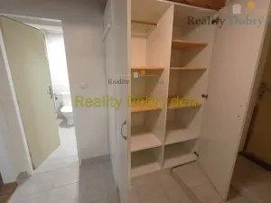 Pronájem bytu 1+1, Opava, Bochenkova, 55 m2