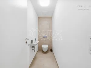 Pronájem bytu 2+kk, Olomouc - Nová Ulice, Hněvotínská, 70 m2