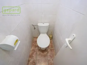 Prodej obchodního prostoru, Český Brod, Kollárova, 700 m2