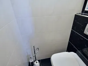 Pronájem bytu 2+kk, Brno - Královo Pole, Palackého třída, 56 m2