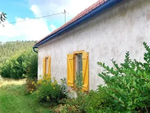 Prodej pozemku, Rybníky, 6544 m2