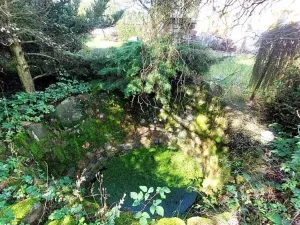 Prodej pozemku, Rybníky, 6544 m2