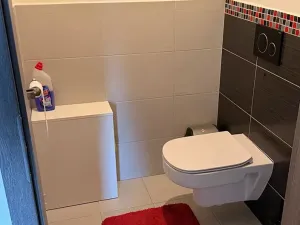 Prodej rodinného domu, Kroměříž, 234 m2