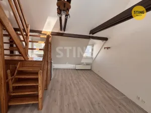 Pronájem bytu 2+1, Opava, 28. října, 105 m2