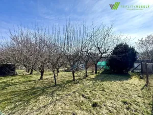 Prodej zahrady, Dyje, 511 m2