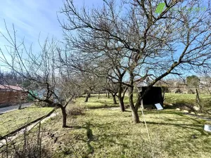 Prodej zahrady, Dyje, 511 m2