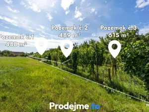 Prodej zahrady, Nový Šaldorf-Sedlešovice, 1844 m2