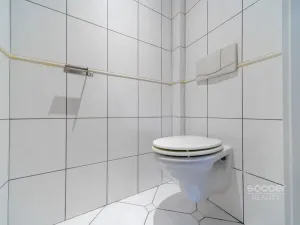 Pronájem bytu 3+kk, Mladá Boleslav - Mladá Boleslav III, Kupeckého, 110 m2