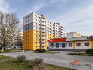 Prodej bytu 1+1, České Budějovice - České Budějovice 2, Vodňanská, 43 m2
