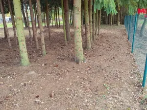 Prodej pozemku pro bydlení, Senožaty, 653 m2