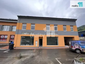 Pronájem kanceláře, Ústí nad Labem - Ústí nad Labem-centrum, Žižkova, 49 m2