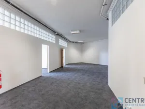 Pronájem kanceláře, Praha - Holešovice, U Pergamenky, 225 m2
