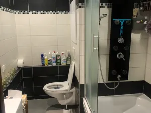 Pronájem bytu 2+kk, Hradec Králové, Brožíkova, 42 m2