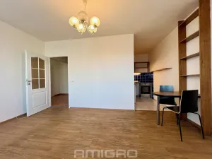 Prodej bytu 2+kk, Brno, Moldavská, 45 m2