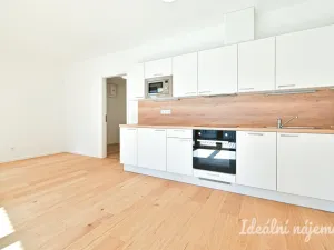Pronájem bytu 1+kk, Brno - Zábrdovice, Bratislavská, 34 m2