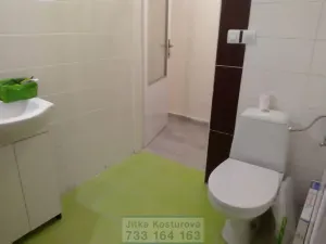 Pronájem bytu 1+kk, Krnov - Pod Cvilínem, Textilní, 35 m2