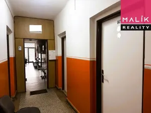 Prodej obchodního prostoru, Ostrov, Hlavní třída, 993 m2