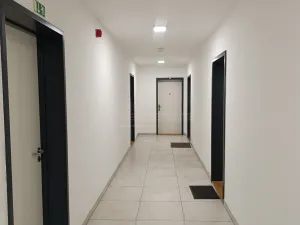 Pronájem bytu 1+kk, Praha - Vysočany, Strnadových, 16913 m2