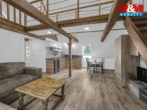 Prodej ubytování, Rudník - Arnultovice, 209 m2