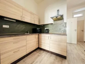 Pronájem bytu 1+1, Praha - Žižkov, Jeronýmova, 32 m2