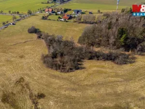 Prodej louky, Vlastibořice, 11488 m2