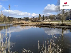 Prodej bytu 3+1, Praha - Vysočany, Nemocniční, 83 m2