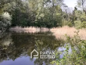 Prodej pole, Kožušany-Tážaly - Kožušany, 15995 m2