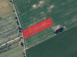 Prodej pole, Žerotín, 16930 m2