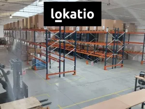 Pronájem výrobních prostor, Vyškov, 1170 m2