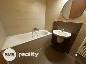 Pronájem bytu 1+kk, Opava, Hálkova, 33 m2