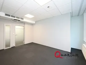 Pronájem kanceláře, Praha - Vinohrady, Šafaříkova, 123 m2