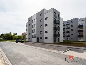 Pronájem bytu 1+kk, Heřmanova Huť - Vlkýš, U Pondu, 36 m2