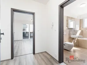 Pronájem bytu 1+kk, Heřmanova Huť - Vlkýš, U Pondu, 36 m2