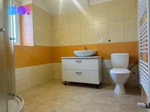 Pronájem bytu 2+kk, Oleška, 42 m2