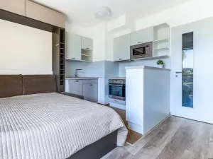 Prodej bytu 1+kk, Praha - Žižkov, Olgy Havlové, 26 m2