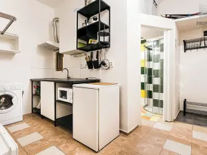 Pronájem bytu 1+1, Brno, Hlinky, 27 m2