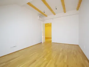 Pronájem bytu 3+1, Praha - Vinohrady, Mánesova, 120 m2