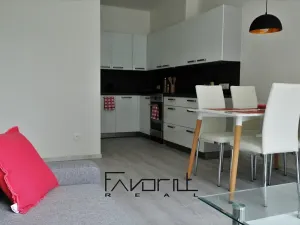 Pronájem bytu 2+kk, Ostrava, Pavlovova, 50 m2