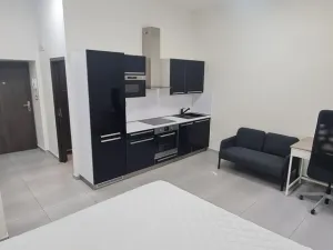 Pronájem bytu 1+kk, Brno - Brno-město, 30 m2