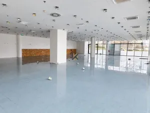 Pronájem obchodního prostoru, Praha, Siemensova, 146 m2