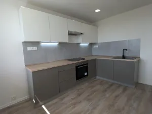 Pronájem bytu 3+1, Most, Růžová, 56 m2