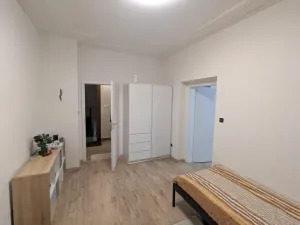 Pronájem bytu 2+1, Ústí nad Labem - Střekov, Železničářská, 67 m2