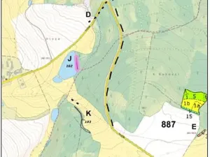 Prodej lesa, Červená Řečice, 1152 m2