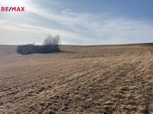 Prodej louky, Nový Hrádek, 18276 m2