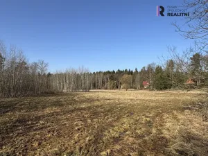 Prodej louky, Nová Role - Mezirolí, 5750 m2