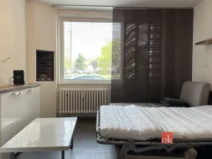 Pronájem bytu 1+kk, Příbram - Příbram VIII, Brodská, 24 m2